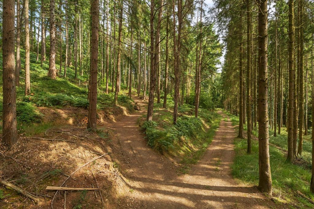 Property photo 1 of 11 Marley Wood