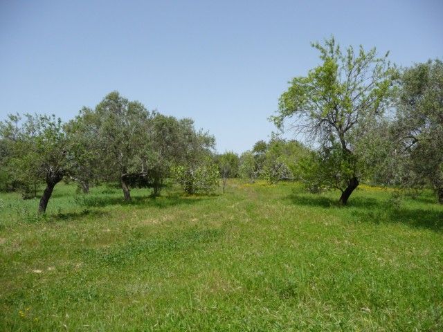 Property photo 2 of 6