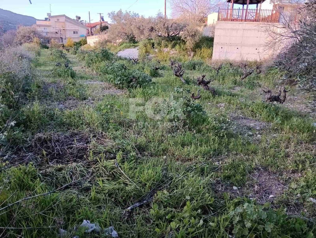 Property photo 2 of 2