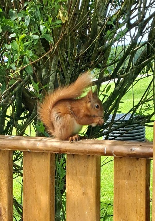 Property photo 2 of 8 31Fa6052 5310 4502 8A35 Ed17013885Ad