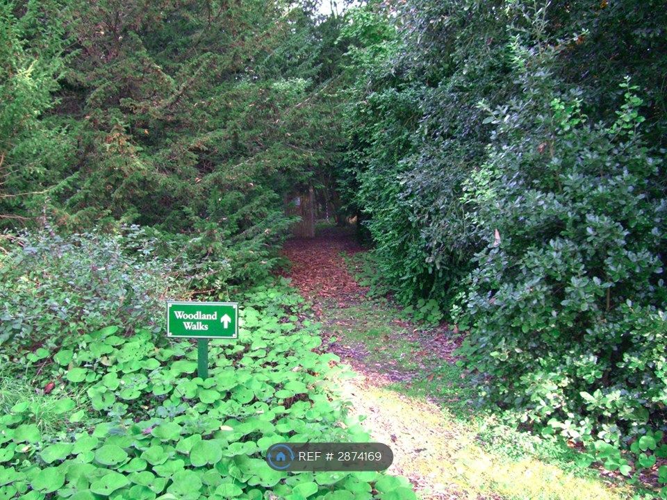 Additional image 31 of 3 bed flat to rentBenacre Hall, Beccles NR34