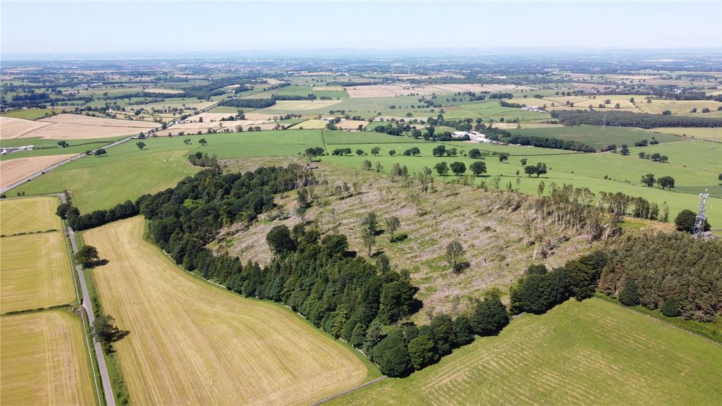 Property photo 3 of 7 Picture No. 02