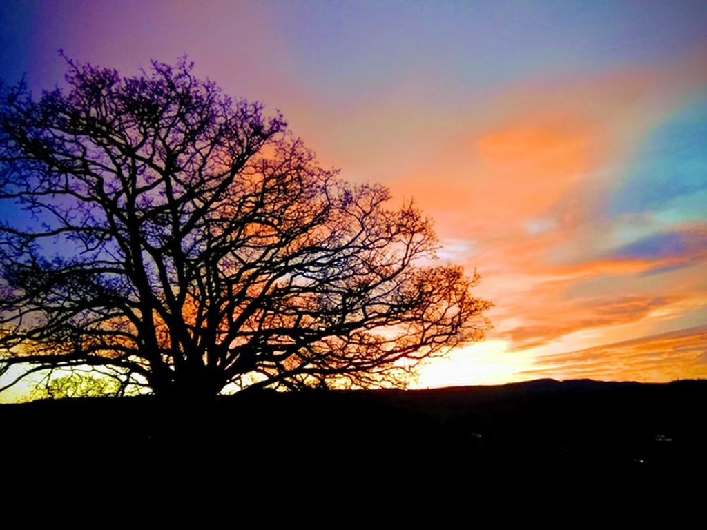 Property photo 3 of 49 Photo 9