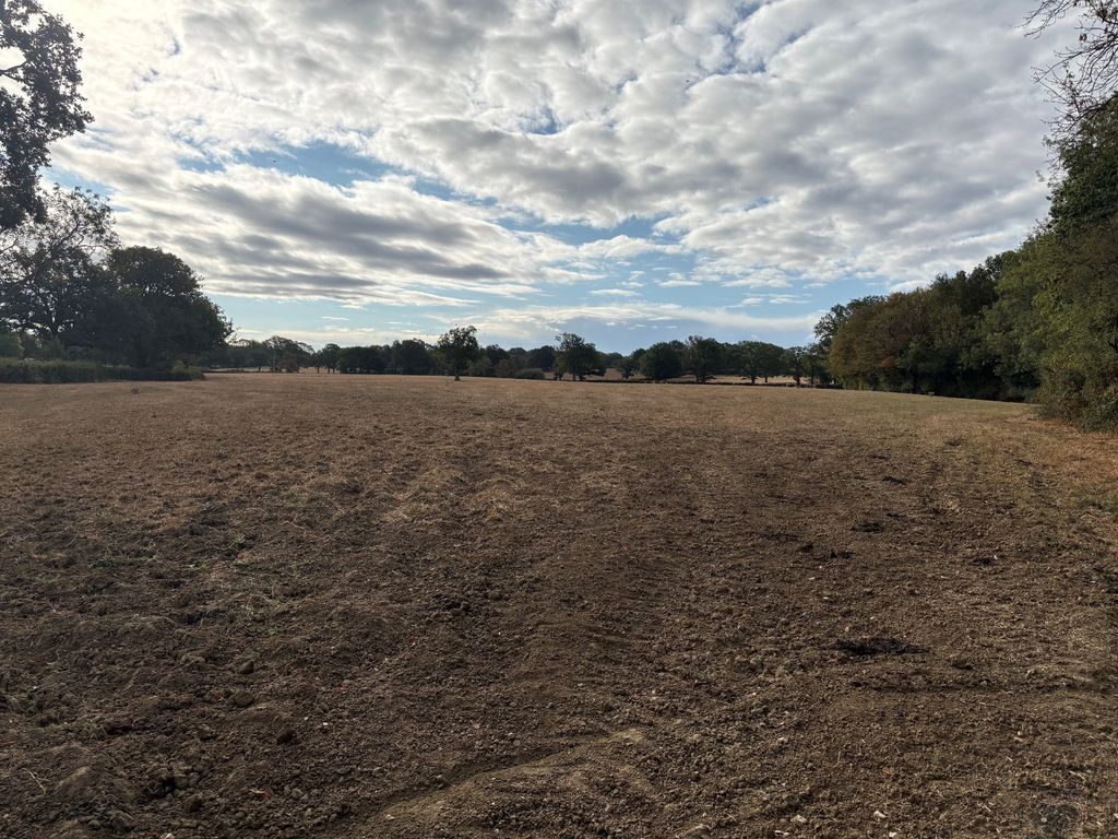 Property photo 2 of 7 Paddock