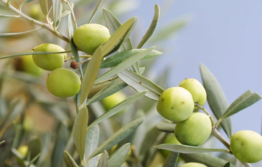 Property photo 1 of 27