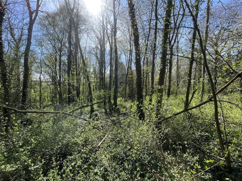 Additional image 7 of Land for saleBradford Lane, Longburton, Sherborne DT9