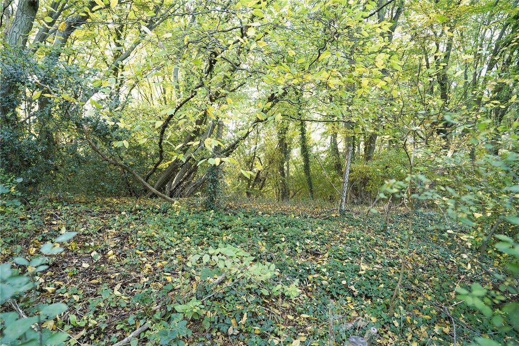 Property photo 2 of 8 Picture No. 01