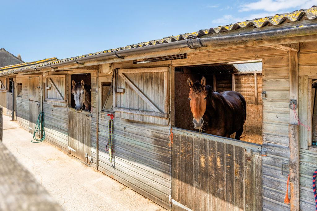 Property photo 2 of 29 Stables