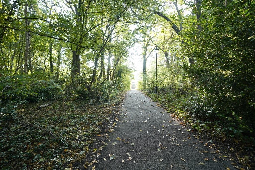 Property photo 1 of 4 Photo 1