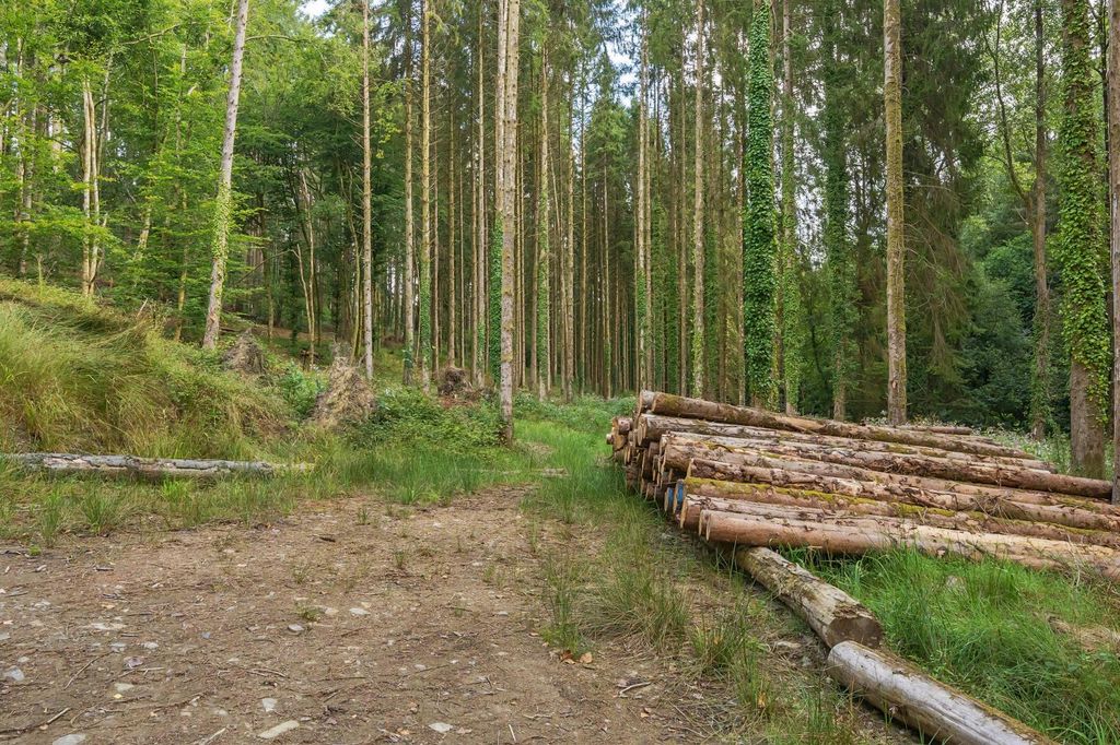 Property photo 2 of 11 Marley Wood