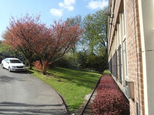 Property photo 2 of 4