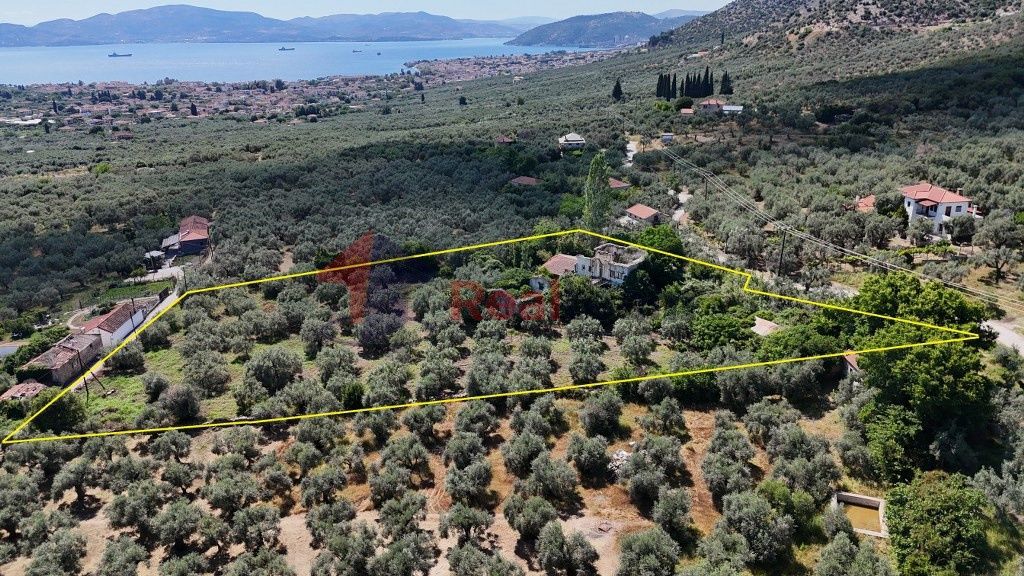 Property photo 3 of 24