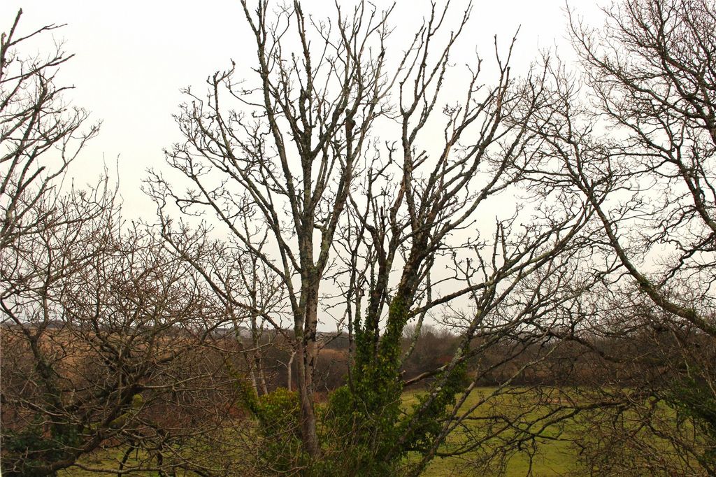 Property photo 2 of 17 Picture No. 19