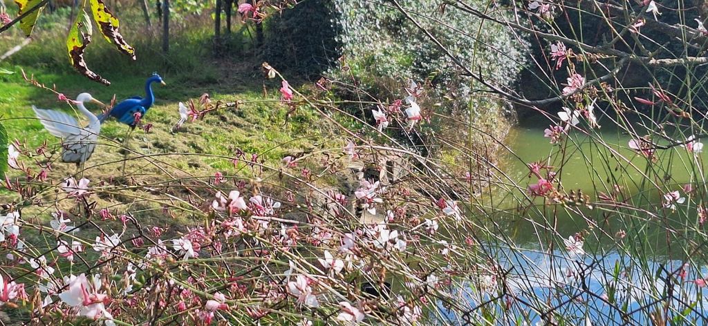 Property photo 2 of 50