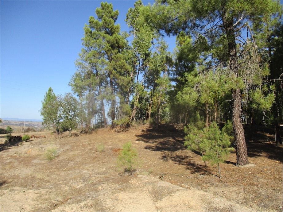 Property photo 3 of 31