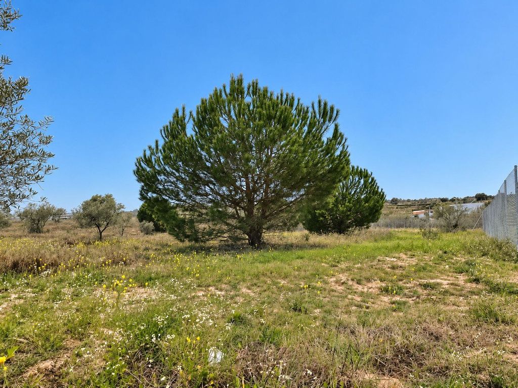 Property photo 1 of 15 Plot, La Palma Del Condado