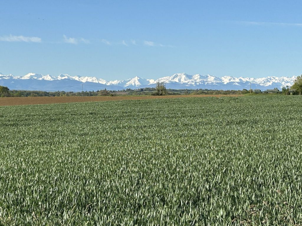 Property photo 2 of 50