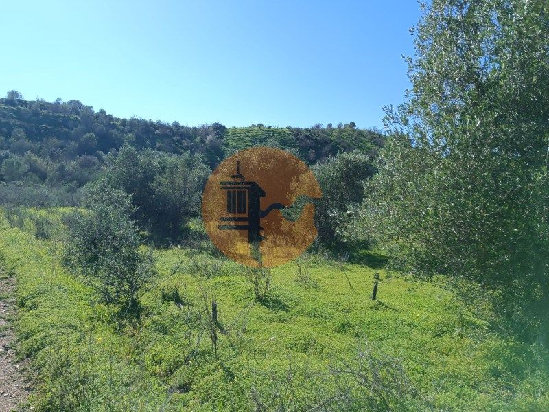 Property photo 1 of 33