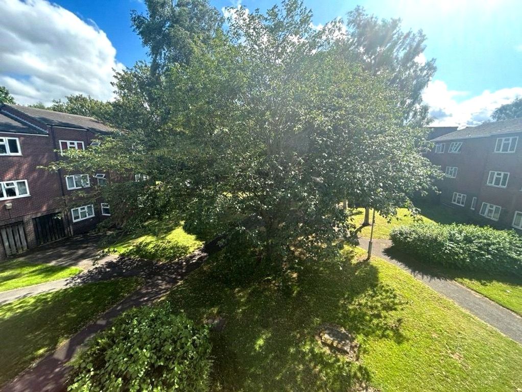 Property photo 1 of 8 Courtyard