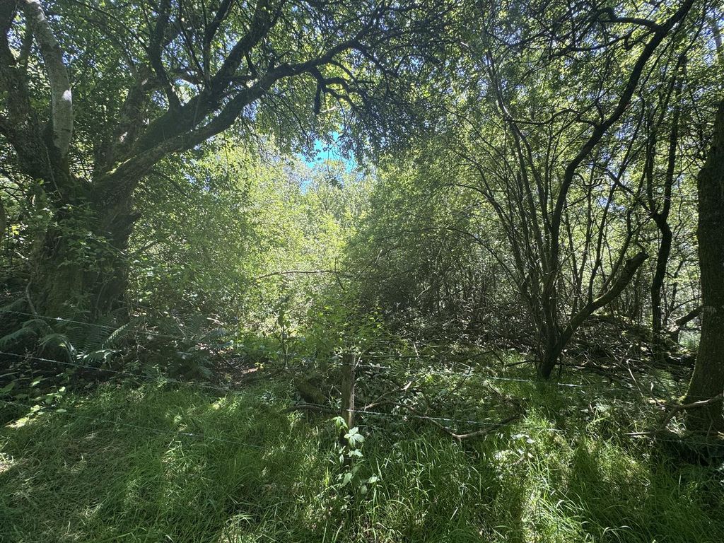 Property photo 3 of 7 Img_6545.Jpeg