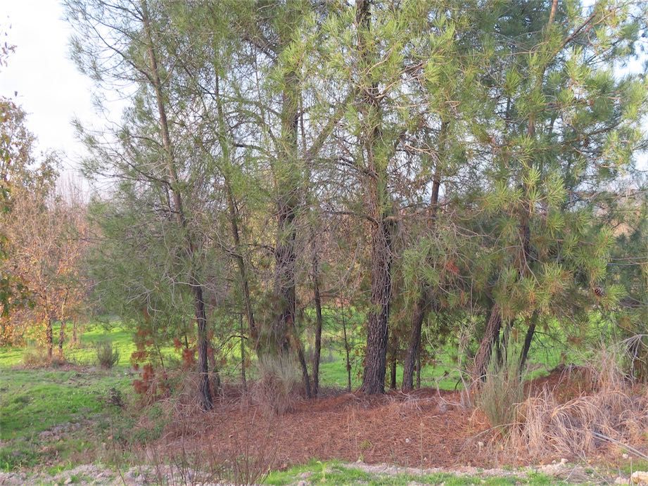 Property photo 3 of 27