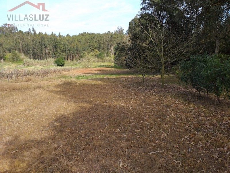 Property photo 2 of 31