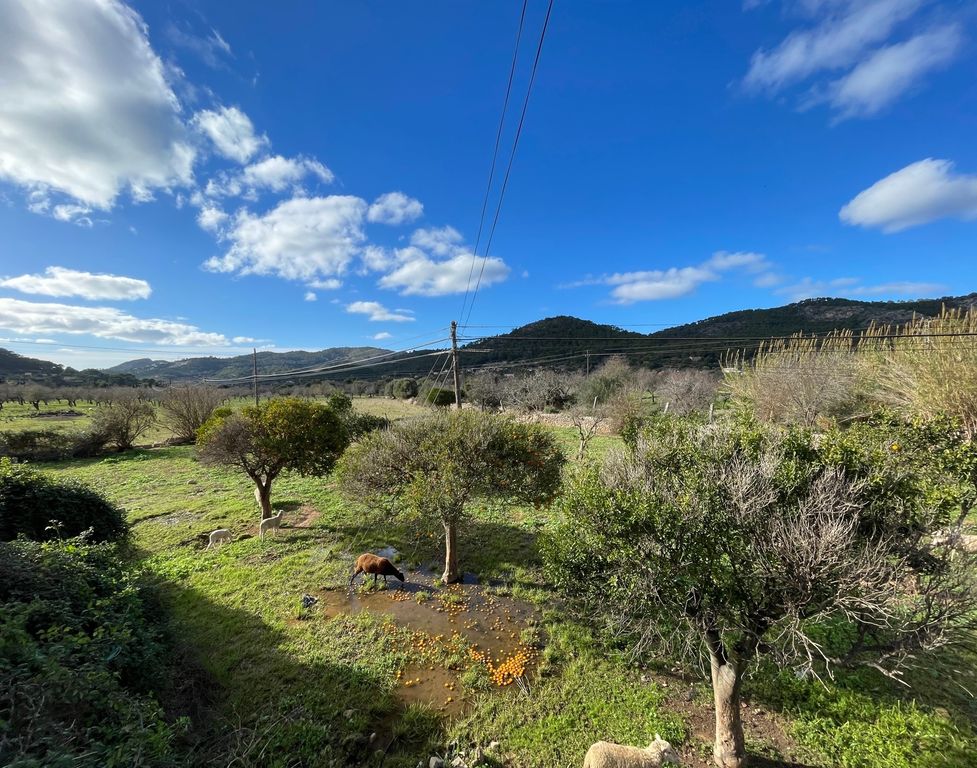 Property photo 2 of 8 Img_6006 Ok-Min.Jpg