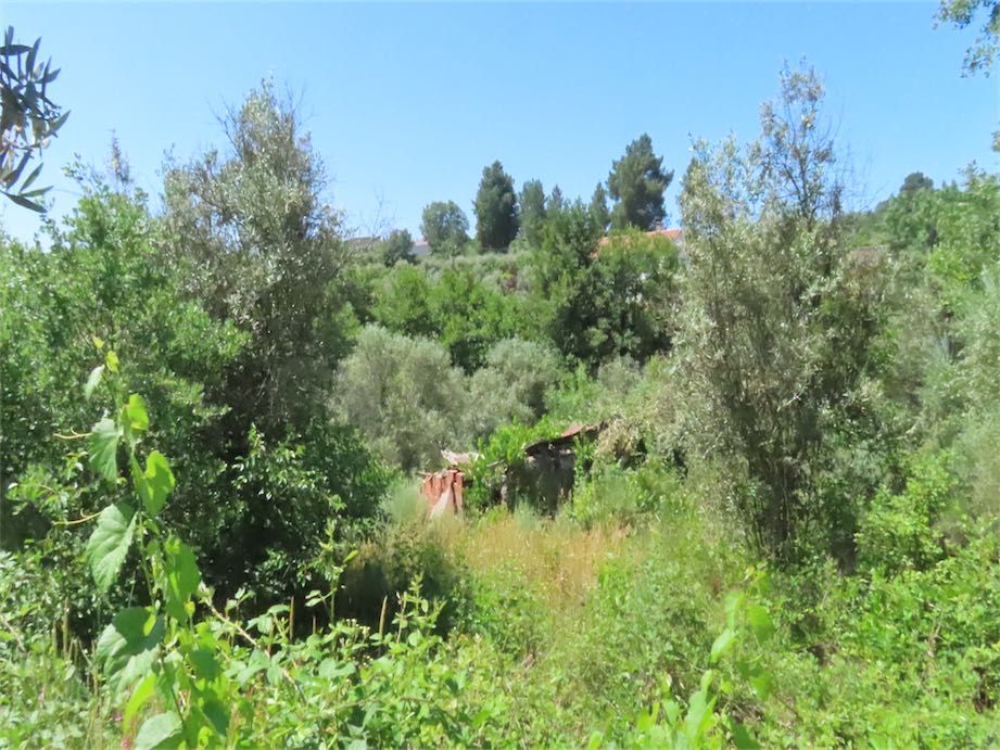 Property photo 3 of 27