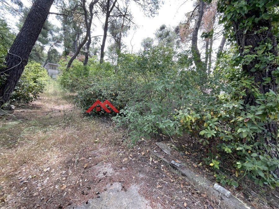 Property photo 1 of 1 (For Sale) Land Large Land || Cyclades/Paros - 156.000 Sq.m, 75.000.000€