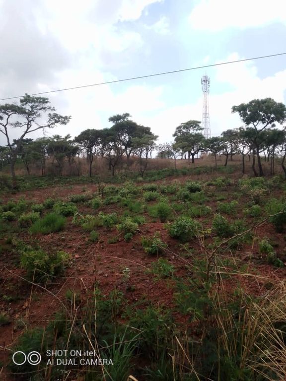 Property photo 2 of 4