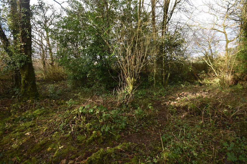 Property photo 3 of 5