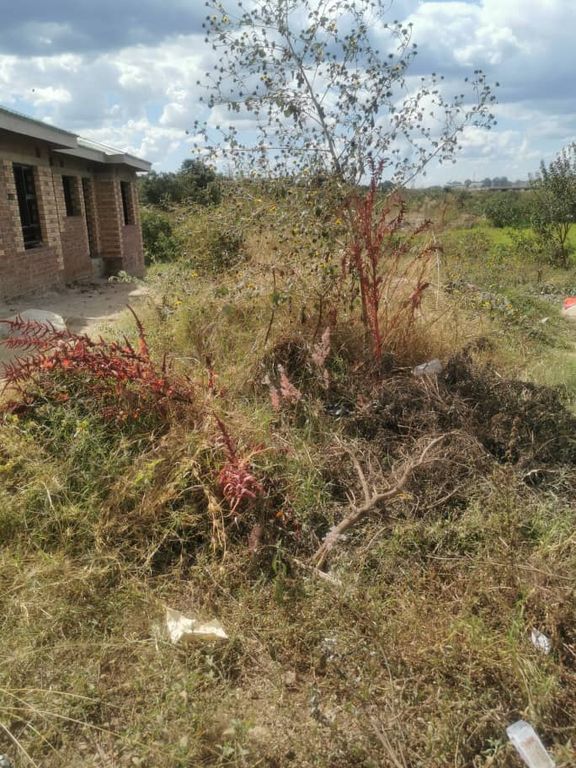 Property photo 3 of 4