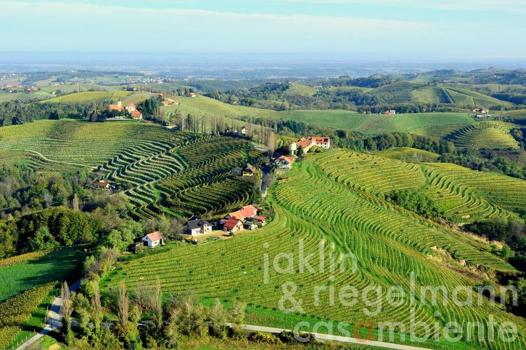 Property photo 1 of 4 12 Ha Of Vineyards In Jeruzalem On The Slovenian Wine Route With Mansion Villa In Ptuj For Sale