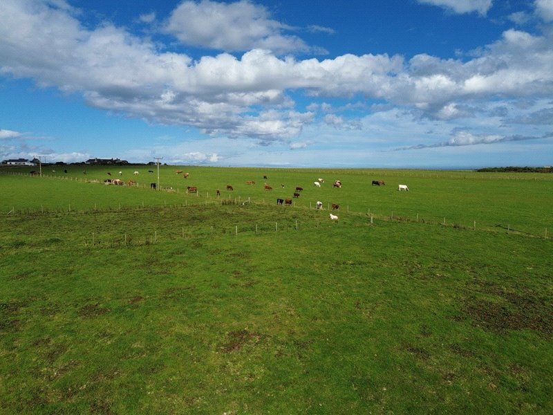 Property photo 2 of 6 View To Rear