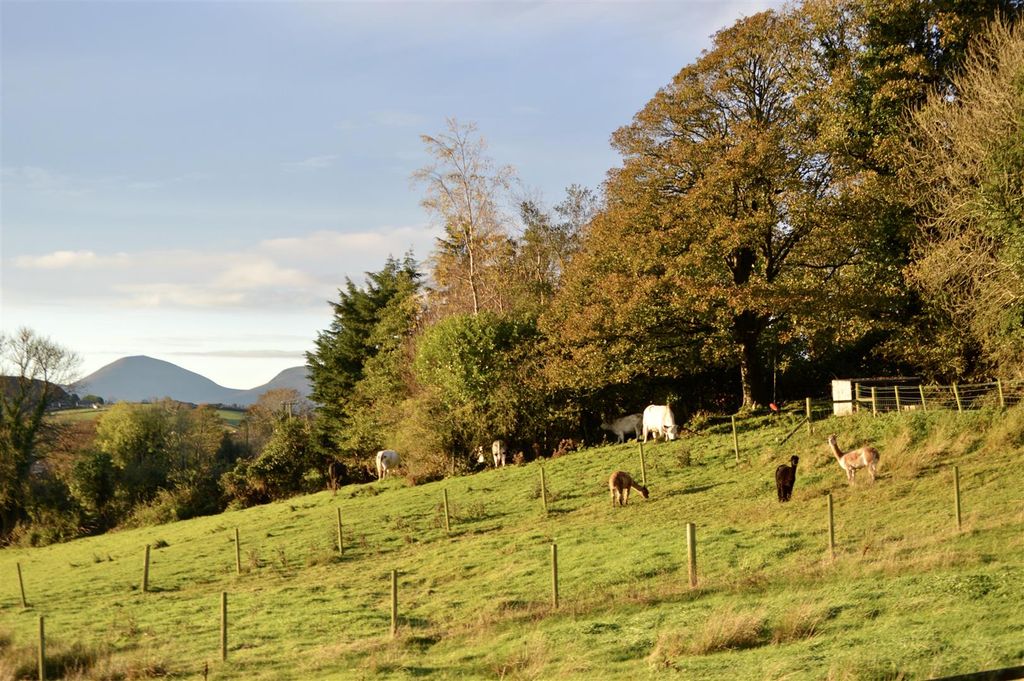 Additional image 45 of 5 bed detached house for sale39 Cherryhill Road, Ballynahinch BT24