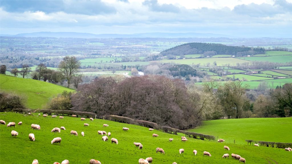 Property photo 2 of 27 Picture No. 36