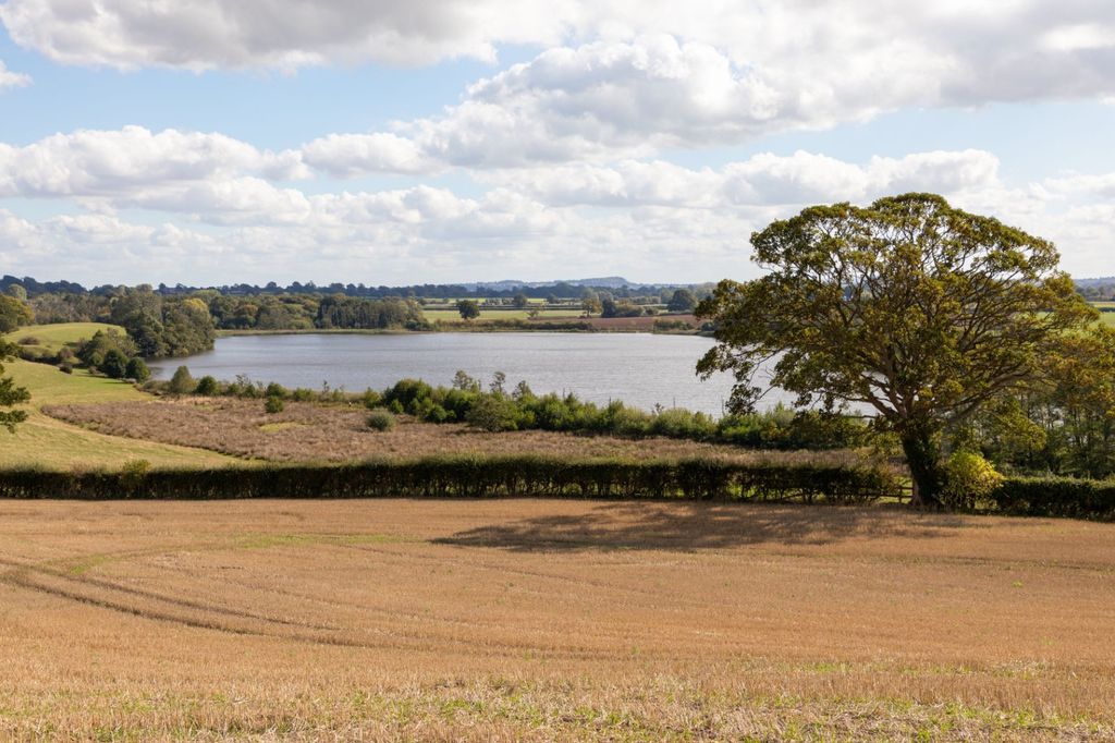 Property photo 3 of 8 Picture 3