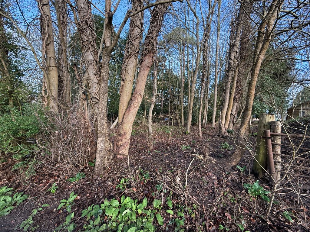 Property photo 1 of 4