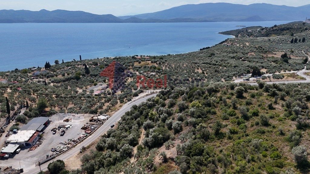 Property photo 3 of 25