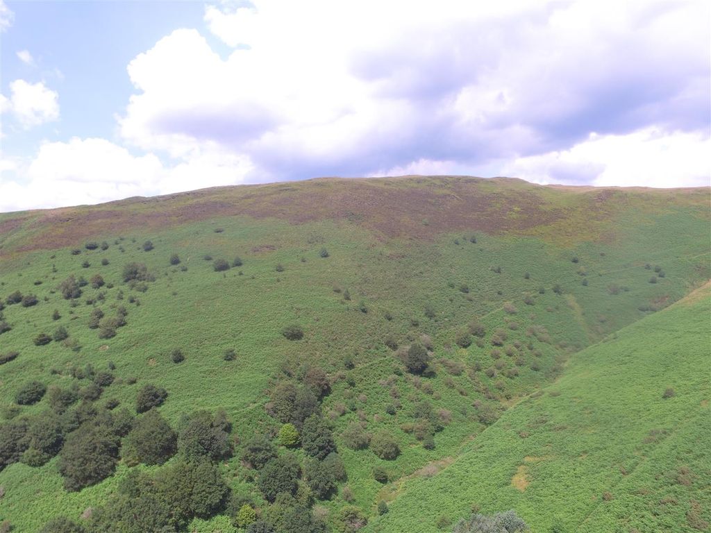 Property photo 2 of 4 Lot 3 - Approx 227 Acres Of Enclosed Upland Mounta