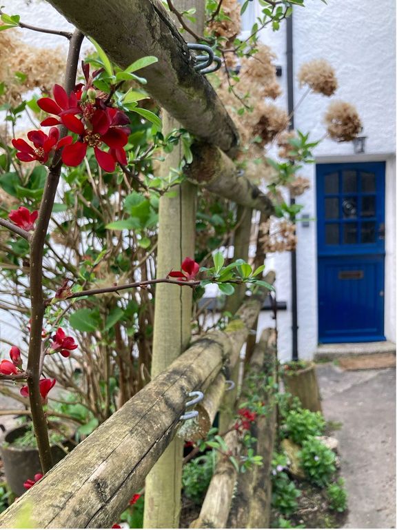 Property photo 2 of 16 Photo 18