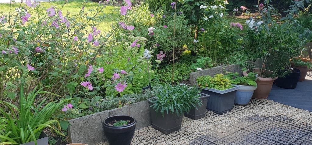 Property photo 3 of 27 A Beautifully Maintained Garden Rich With Colorful...