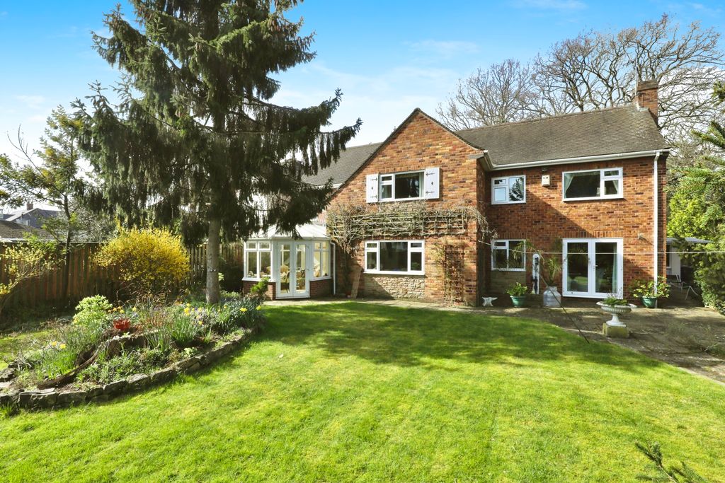 Property photo 2 of 20 8G9A4084