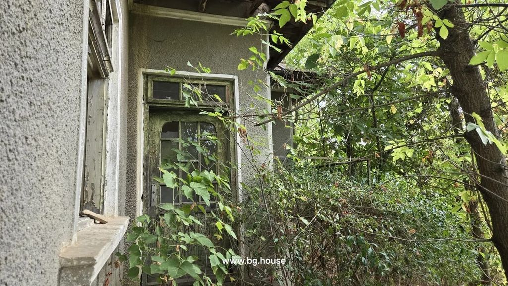 Property photo 1 of 37 View Of An Old Wooden Door And Window Partly Covered By Thick Green Leaves And Branches