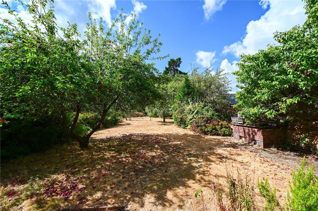 Property photo 2 of 14 Picture No. 13