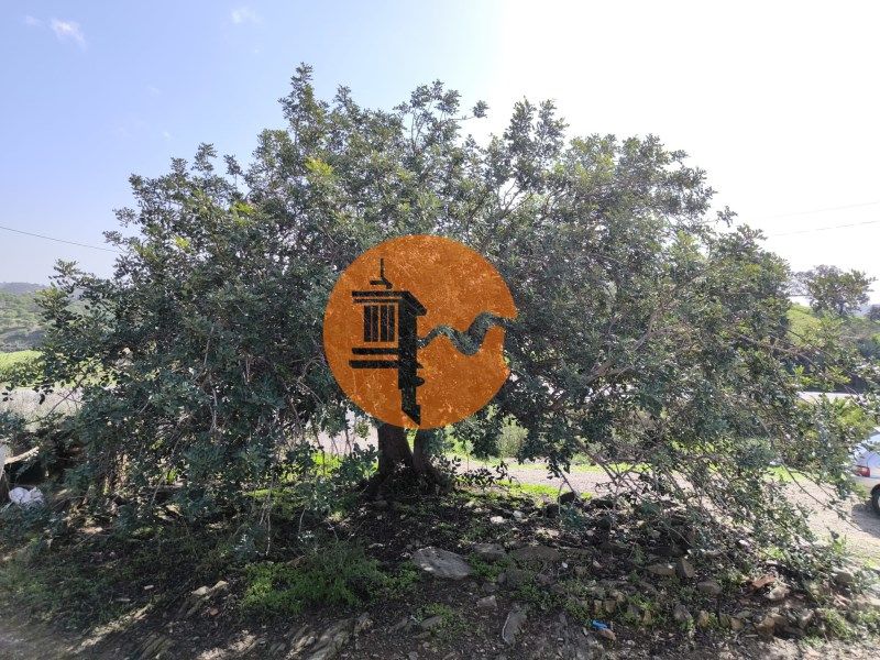 Property photo 2 of 26