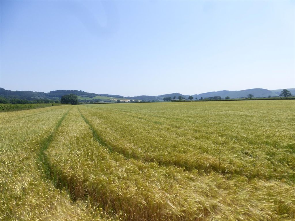 Property photo 1 of 13 Lot 1