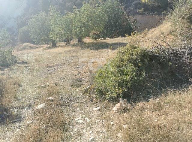 Property photo 1 of 1 Residential Land For Sale In Agia Filaxi , Limassol