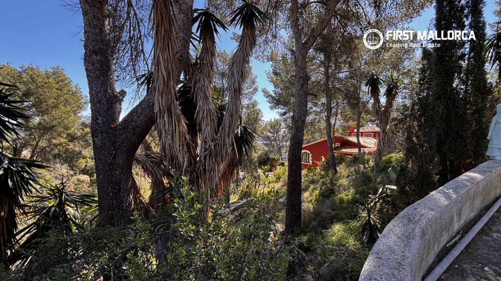 Property photo 3 of 3 83397 3.Jpg