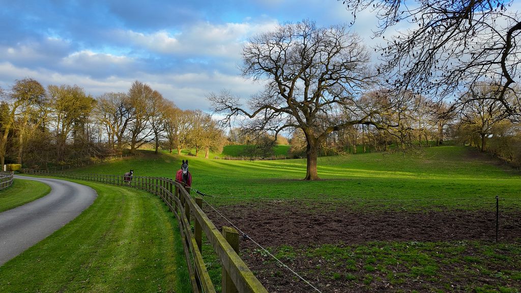 Property photo 3 of 41